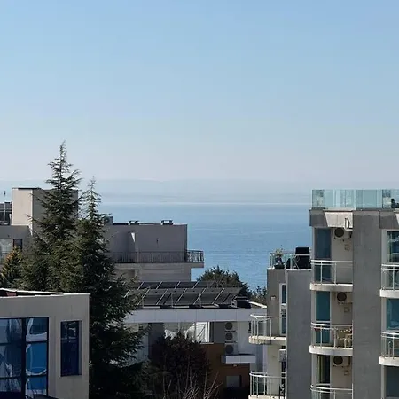 Holidays סרפובו
